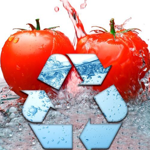 Washing water, tomato waste & Agriculture Waste Recycling Garden Tree